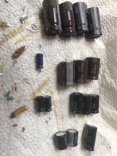 Removed capacitors and insects